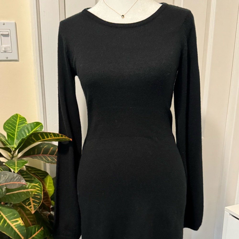 Elegant Women Winter Dress